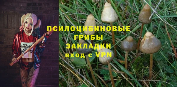 дживик Белоозёрский