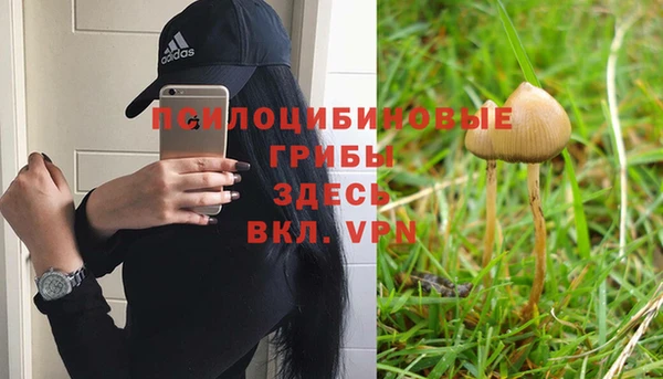 бутират Белокуриха