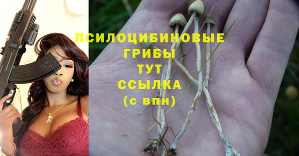 бутират Белокуриха