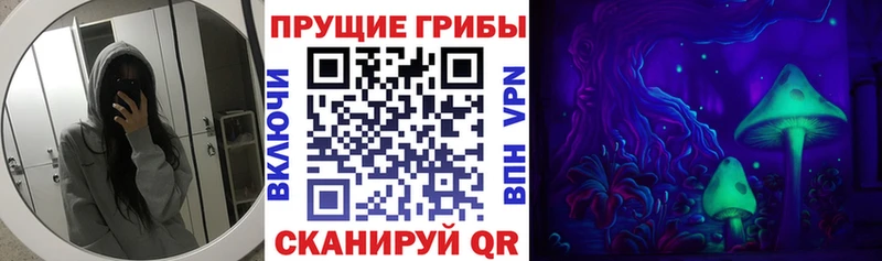 МЕГА tor Шуя мориарти какой сайт Псилоцибиновые грибы ЛСД